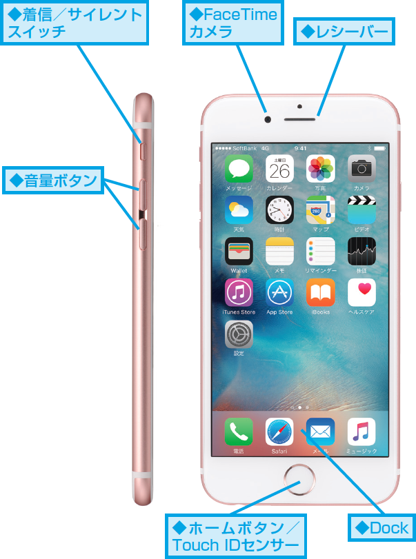 iphone 6s 6s pluse381aee3839ce382bfe383b3e383bbe7abafe5ad90e5908de7a7b0e38292e5ae8ce585a8e382ace382a4e38389