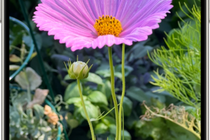 iPhoneで撮影した写真や動画をすぐ確認！簡単操作