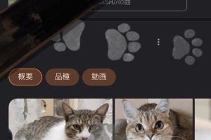 iPhoneの動画音声を標準アプリで簡単ミュート！
