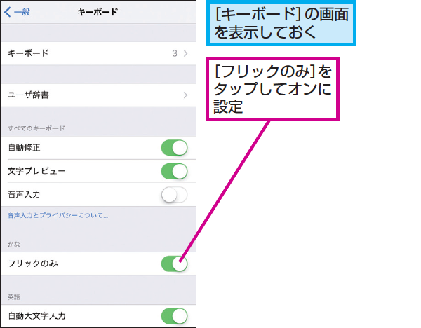iPhoneの文字入力を常にフリックに固定する設定術 1 iphonee381aee69687e5ad97e585a5e58a9be38292e5b8b8e381abe38395e383aae38383e382afe381abe59bbae5ae9ae38199e3828be8a8ade5ae9ae8a193