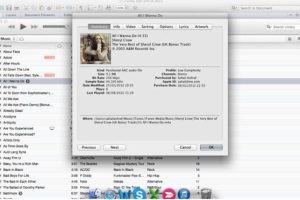 iTunesで曲情報やジャンルを自由編集！iPhone音楽管理術