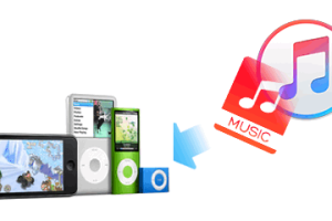 iTunesの音楽をiPod touchに簡単転送!同期ガイド 7 iTunesの音楽をiPod touchに簡単転送!同期ガイド